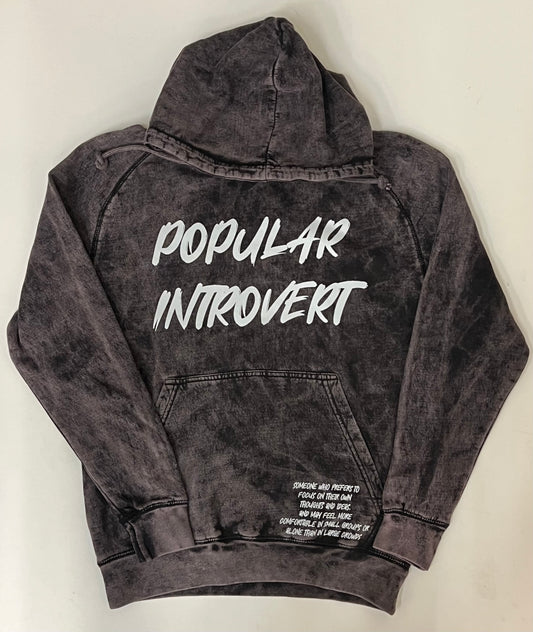 Popular Introvert hoodie